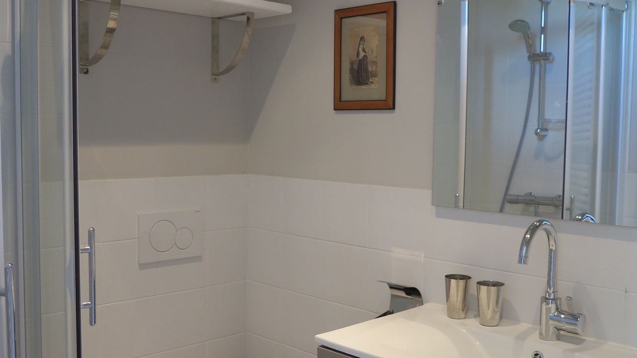 Photo of Bathroom in Borderes-et-Lamensans