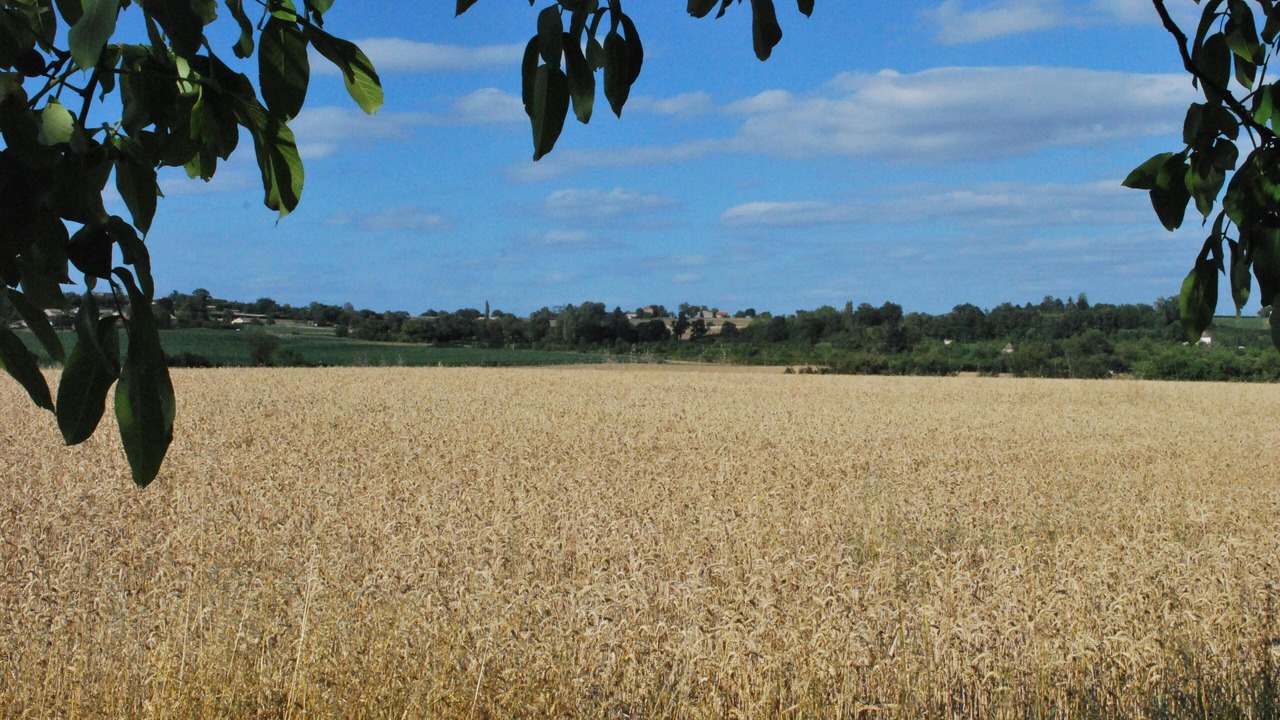 Photo of Others in Saint-Aubin-de-Cadelech