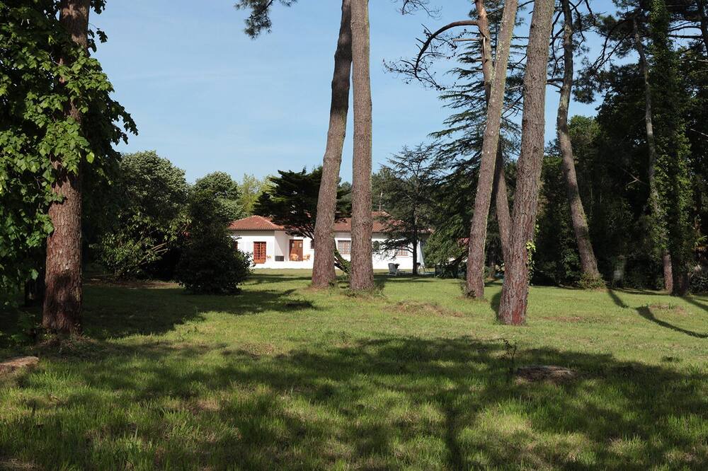 Photo of Outdoor in Labenne