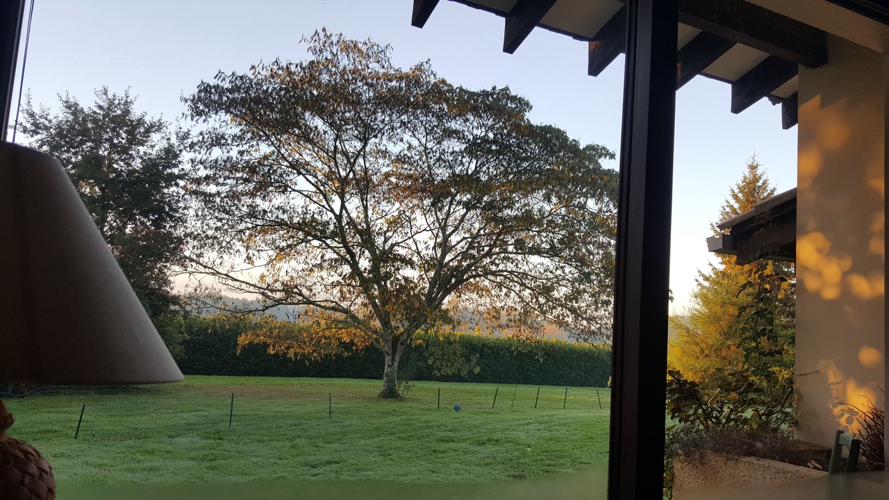 Photo of Outdoor in Angresse