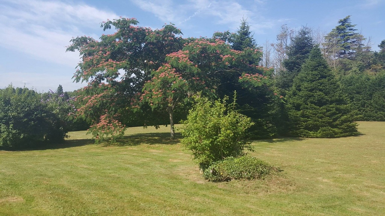 Photo of Outdoor in Angresse