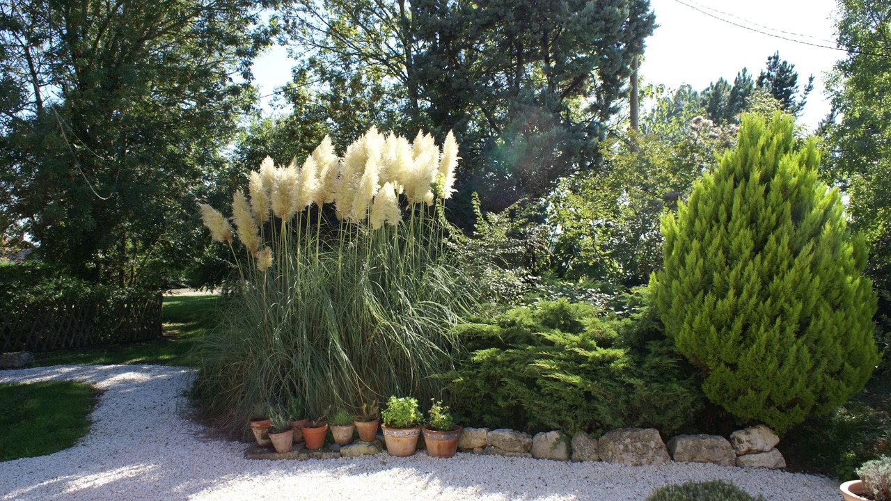 Photo of Outdoor in Villeneuve-de-Duras