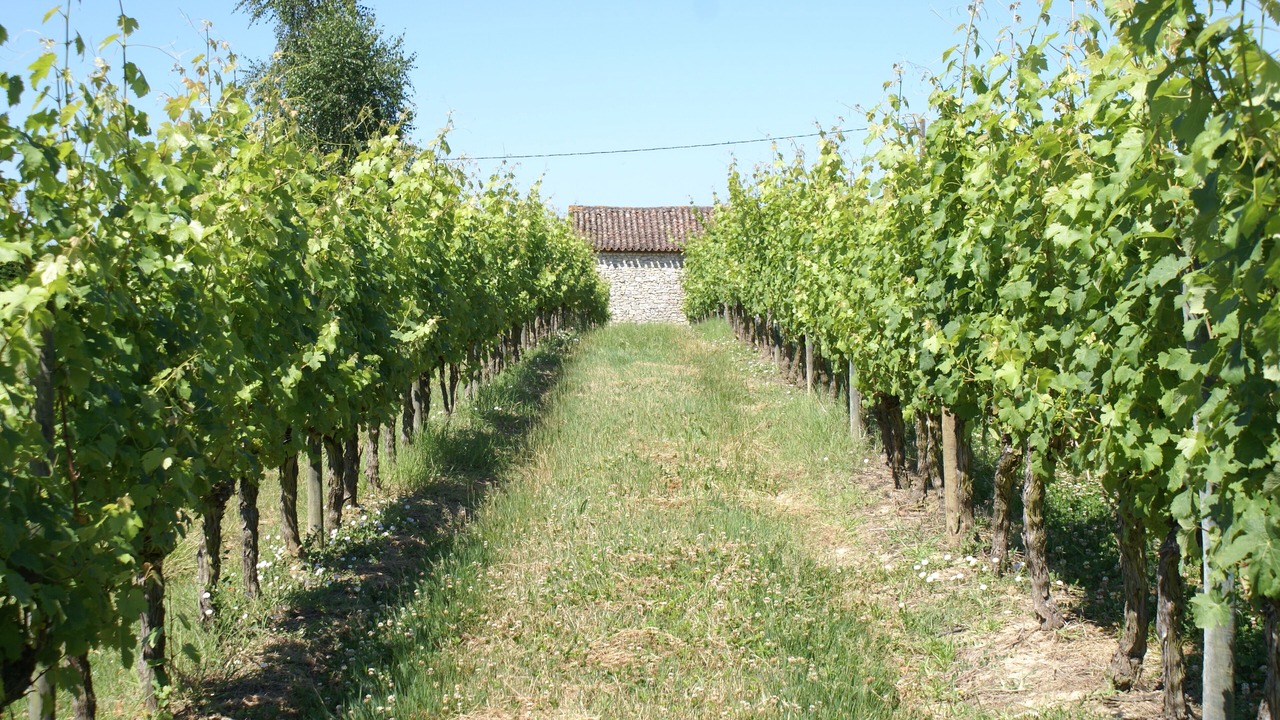 Photo of Outdoor in Villeneuve-de-Duras