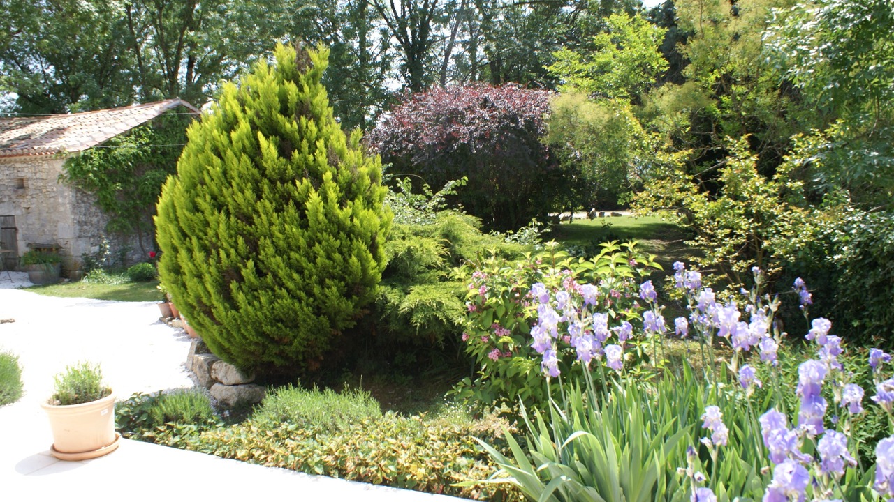 Photo of Outdoor in Villeneuve-de-Duras