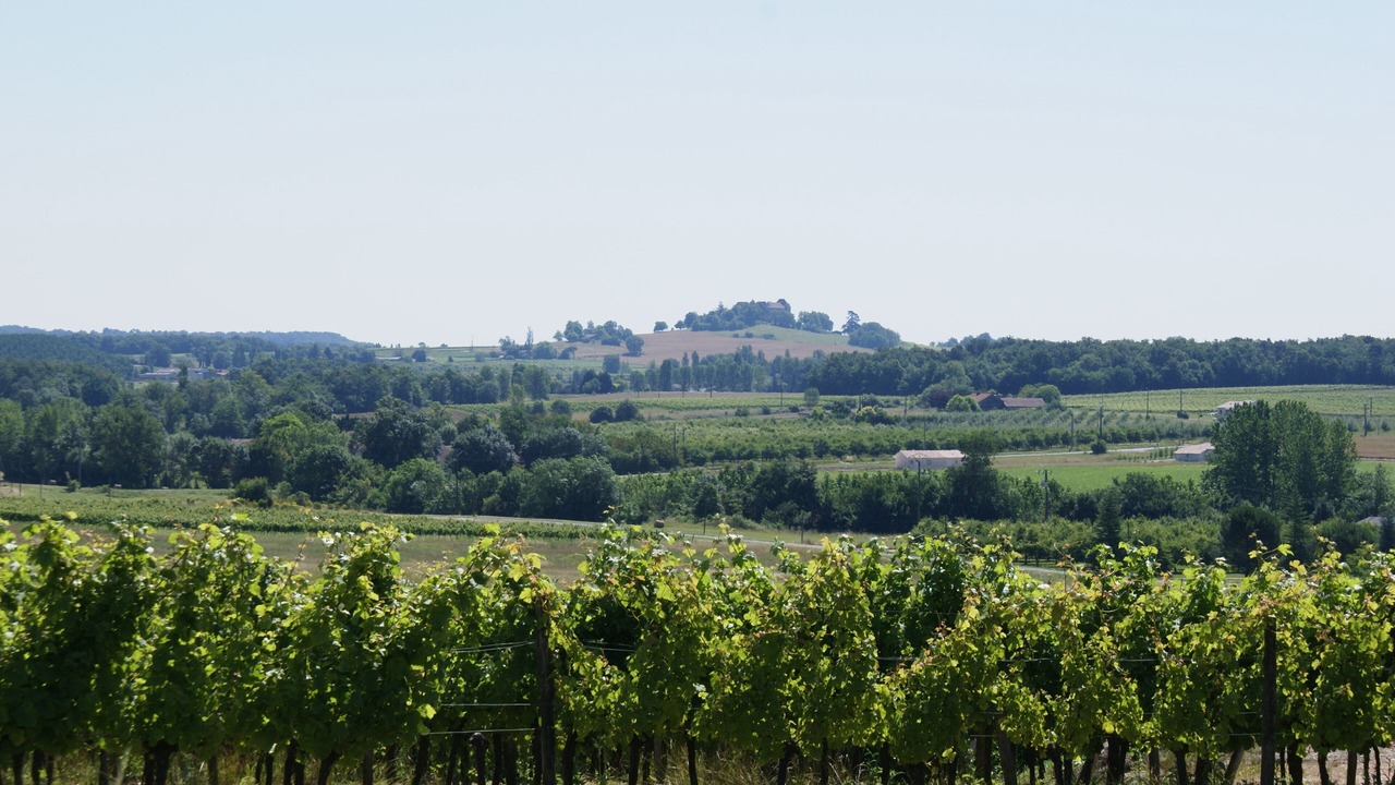 Photo of Others in Villeneuve-de-Duras