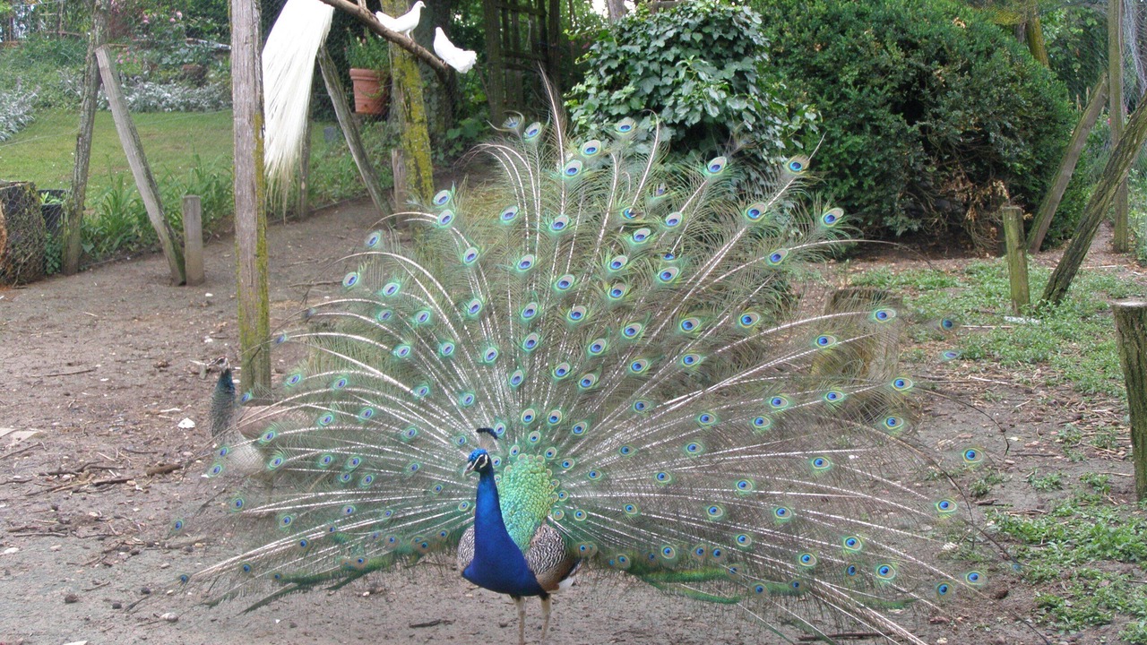 Photo of Outdoor in Galapian