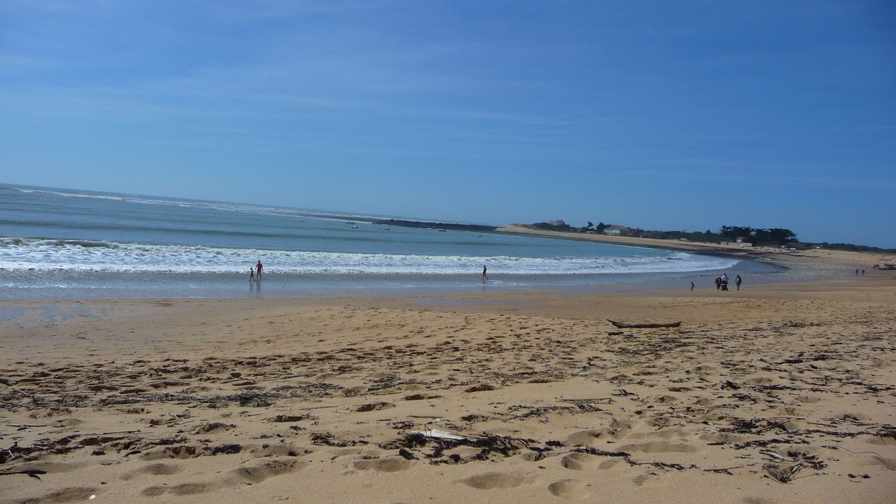 Photo of Others in La Remigeasse