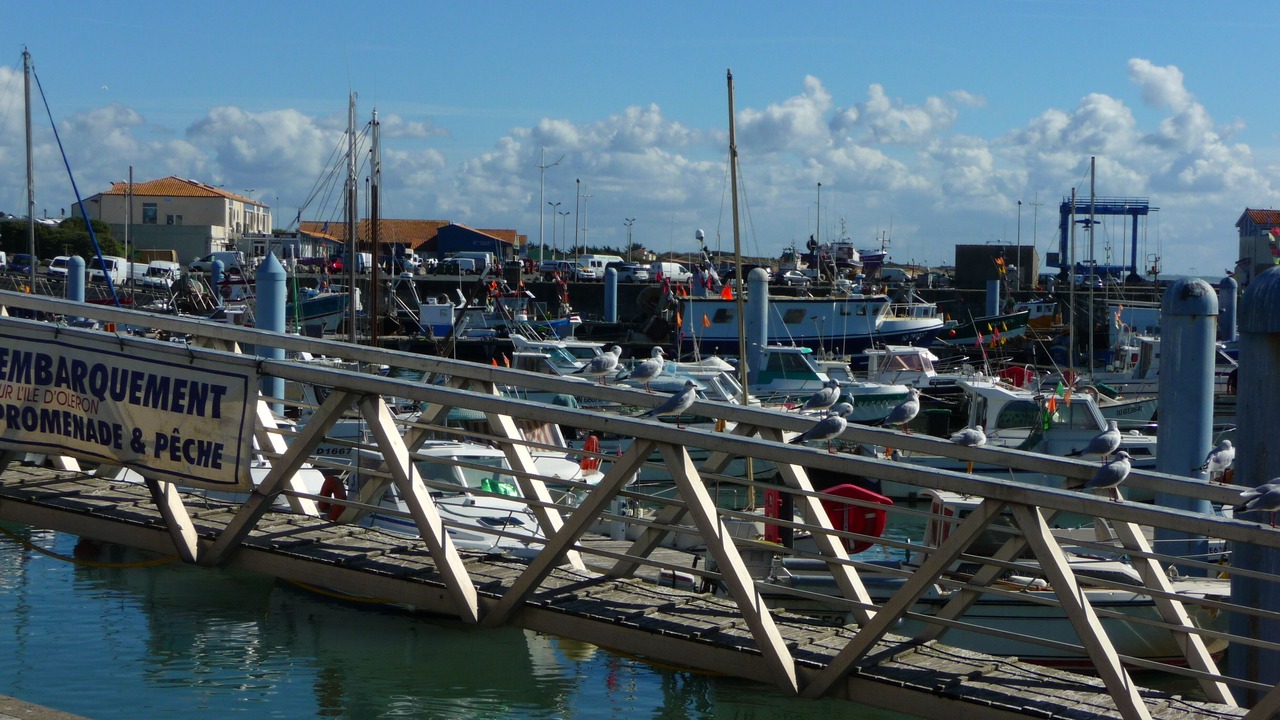 Photo of Outdoor in La Remigeasse