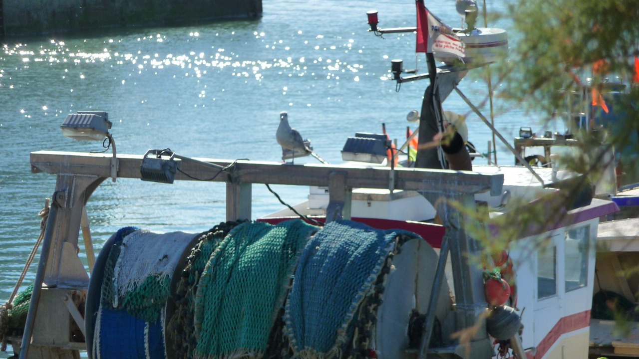 Photo of Others in La Remigeasse