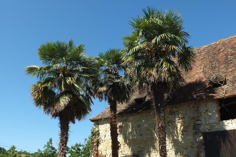 Photo of Outdoor in Sauvelade