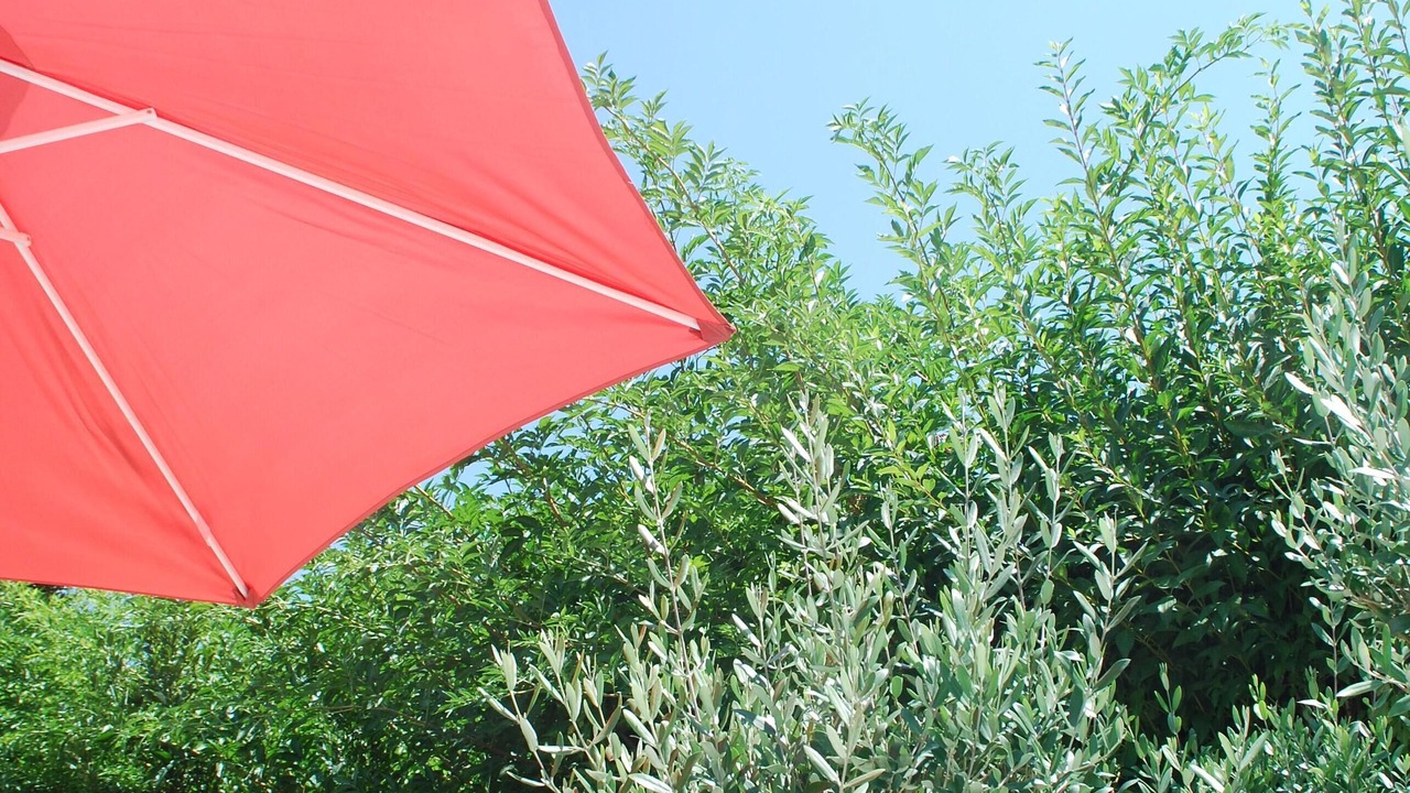 Photo of Outdoor in Ordonnac