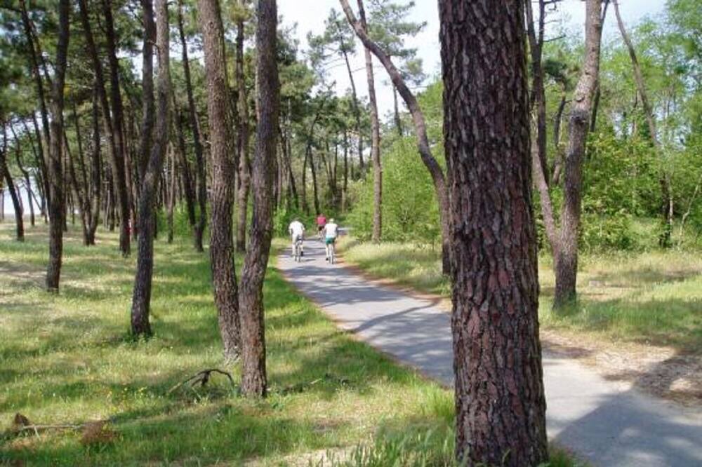 Photo of Outdoor in Les Mathes