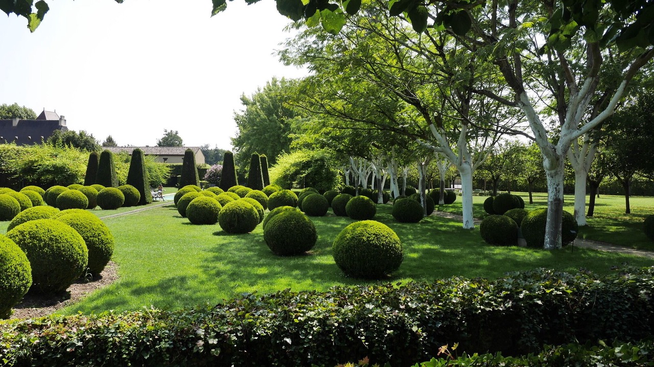 Photo of Outdoor in Tremolat