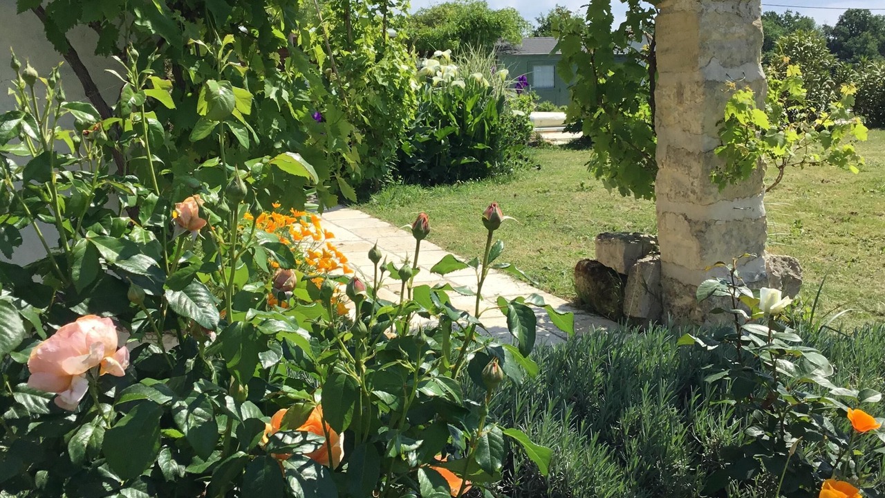 Photo of Outdoor in Montpeyroux