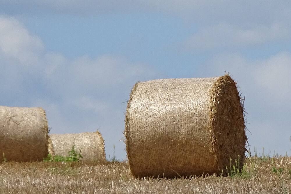 Photo of Outdoor in Laprade