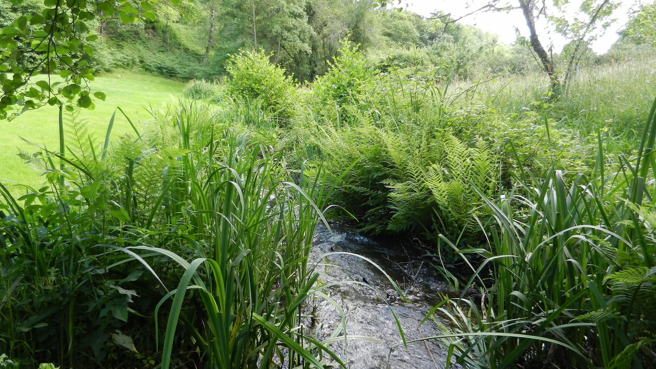Photo of Outdoor in Saint-Saud-Lacoussiere
