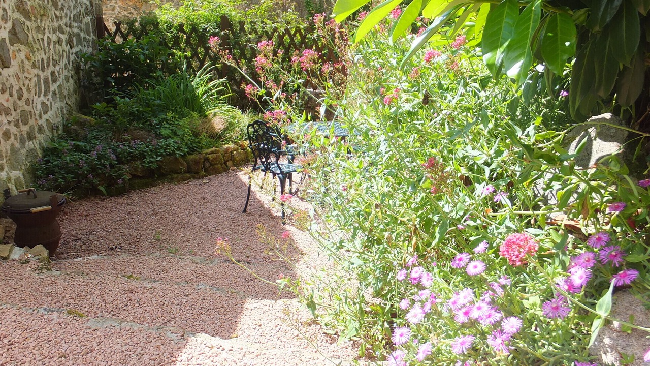 Photo of Outdoor in Saint-Saud-Lacoussiere