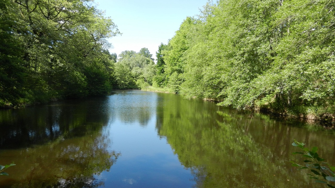 Photo of Outdoor in Saint-Saud-Lacoussiere