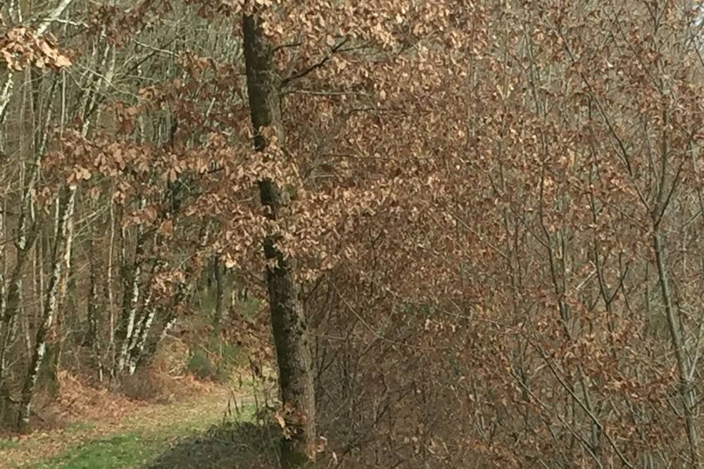 Photo of Others in Benest