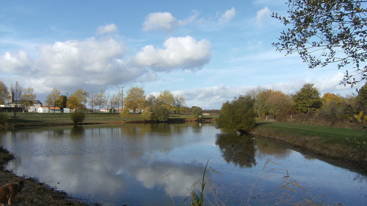 Photo of Outdoor in Genneton