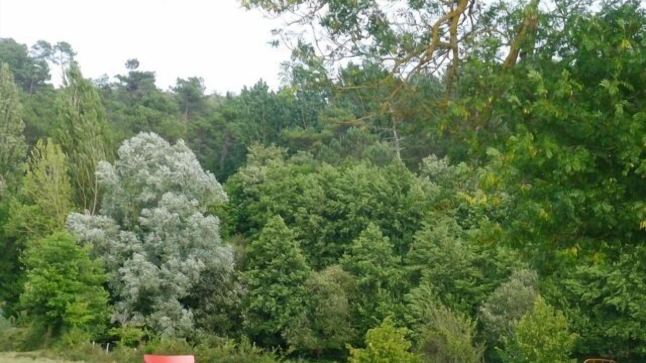 Photo of Outdoor in Vergt-de-Biron