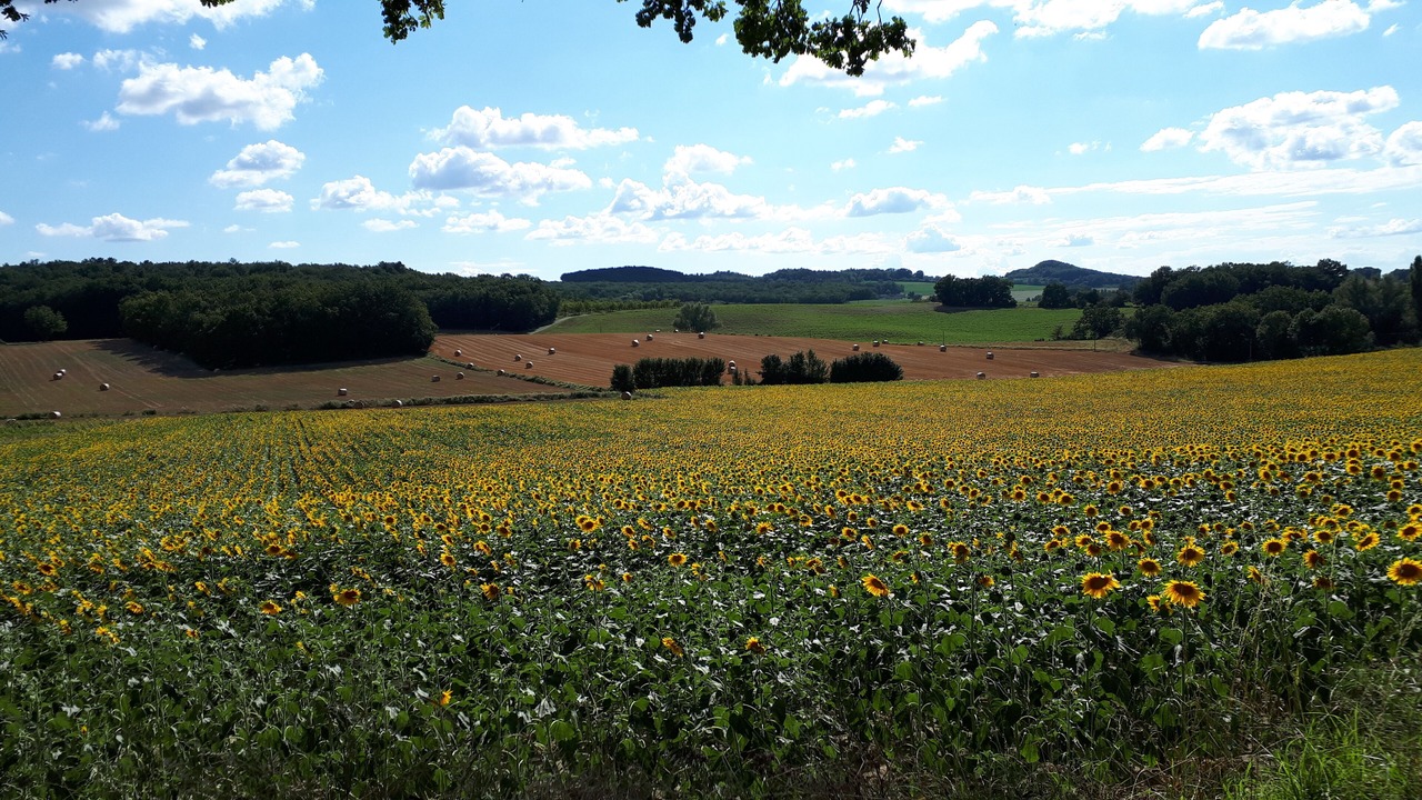 Photo of Outdoor in Vergt-de-Biron
