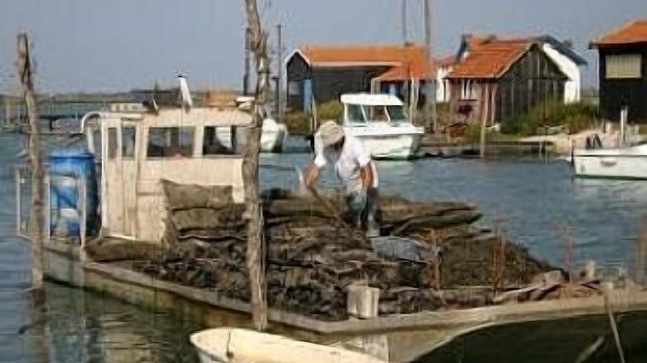 Photo of Others in Courcoury