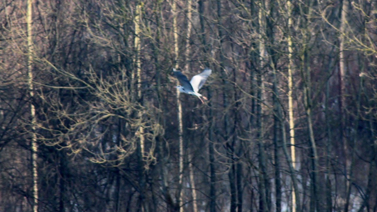 Photo of Outdoor in Courcoury