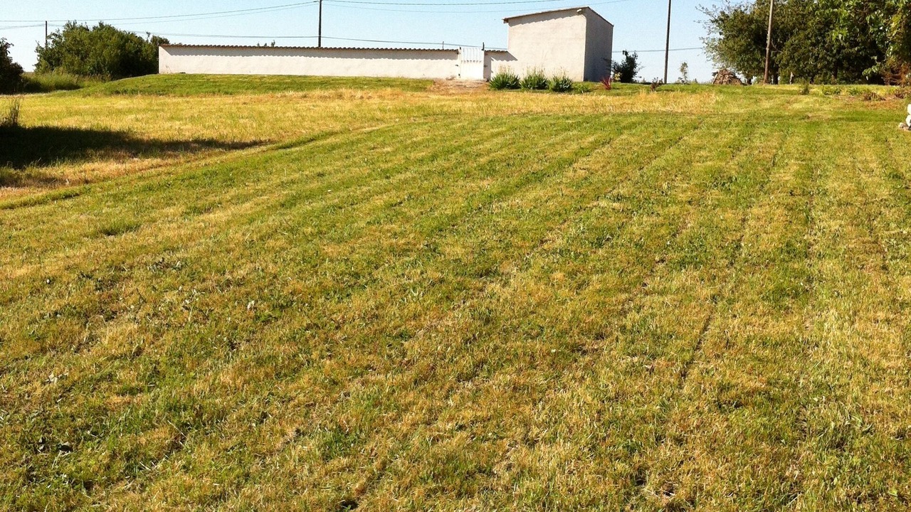 Photo of Outdoor in Courcoury