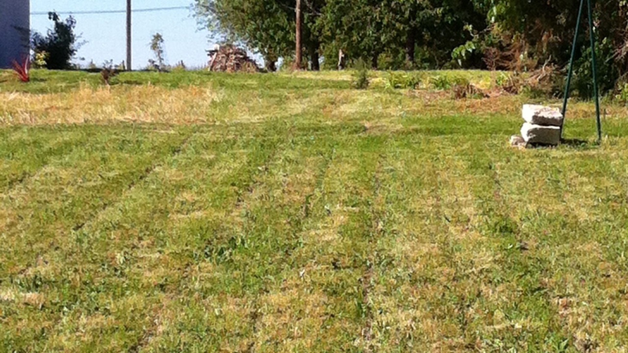 Photo of Outdoor in Courcoury