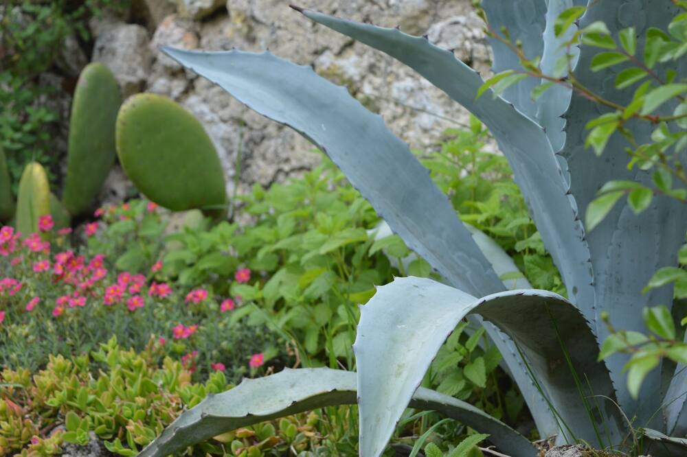 Photo of Outdoor in Naujan-et-Postiac