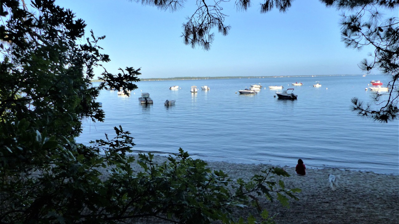 Photo of Others in Biganos