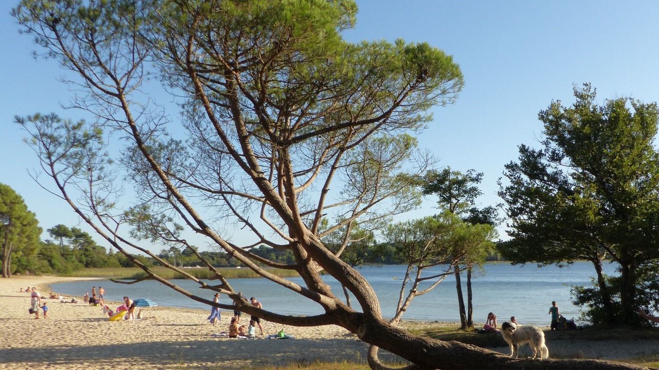 Photo of Others in Biganos