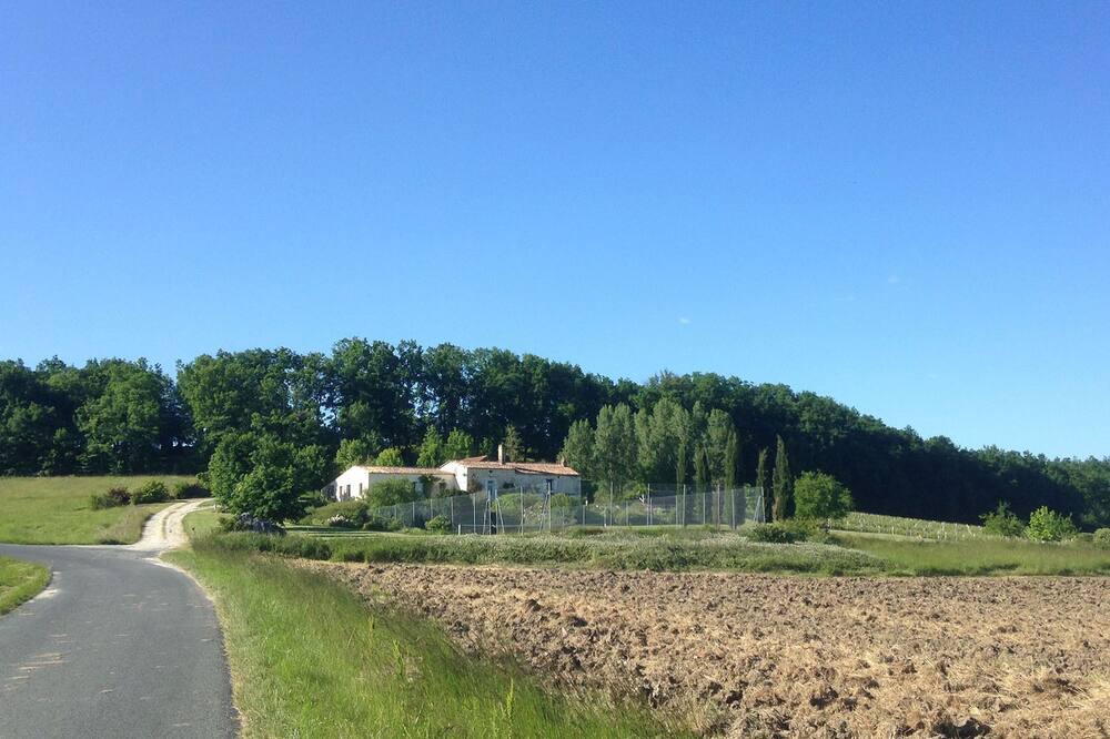 Photo of Outdoor in Monbazillac