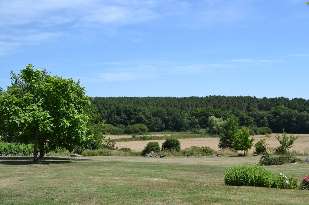 Photo of Outdoor in Monbazillac