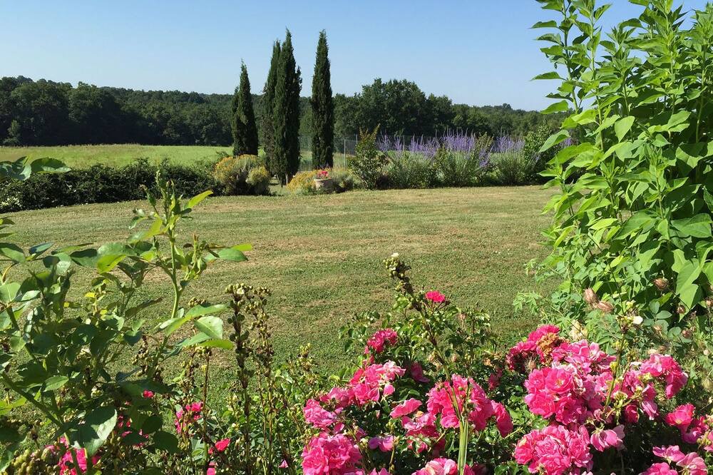 Photo of Outdoor in Monbazillac