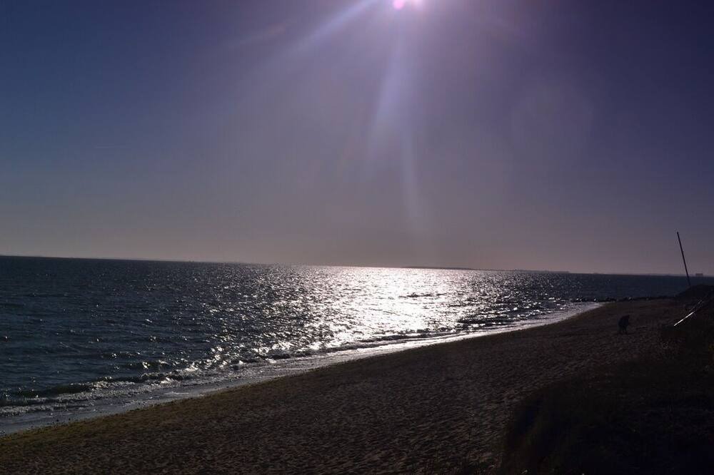 Photo of Others in Saint-Georges-d'Oleron