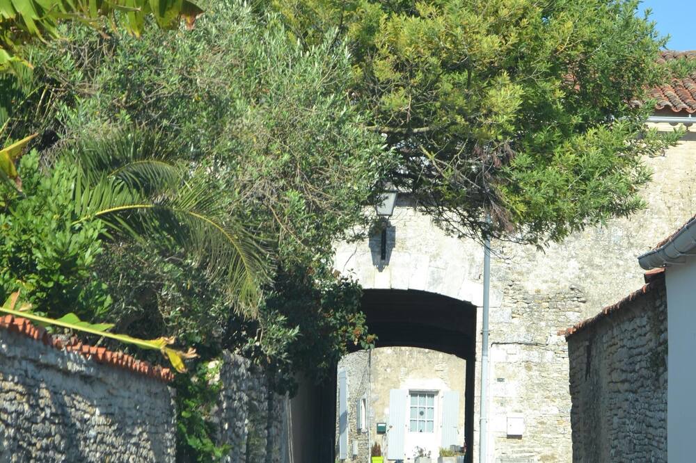 Photo of Outdoor in Saint-Georges-d'Oleron