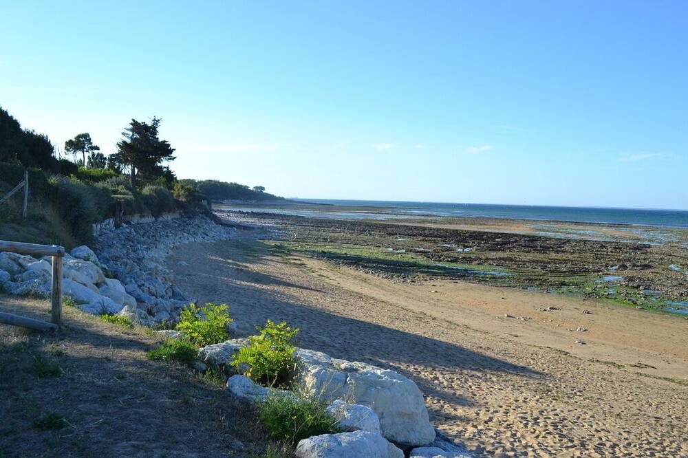 Photo of Others in Saint-Georges-d'Oleron