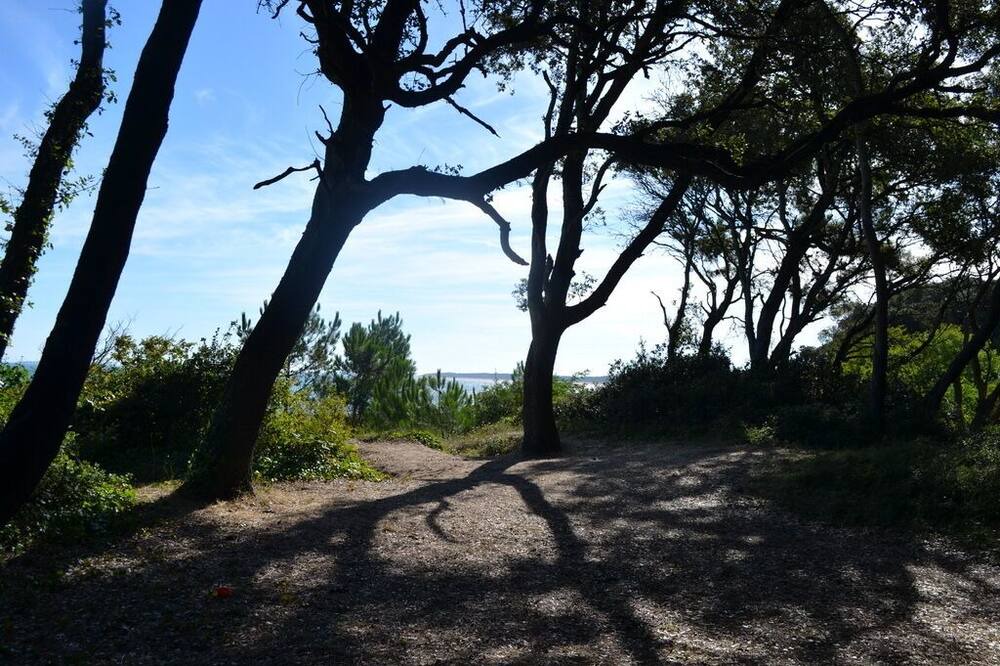 Photo of Outdoor in Saint-Georges-d'Oleron