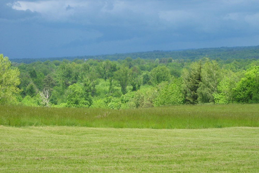 Photo of Others in Saint-Front-sur-Nizonne