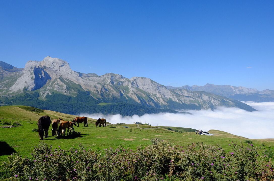 Photo of Outdoor in Beost
