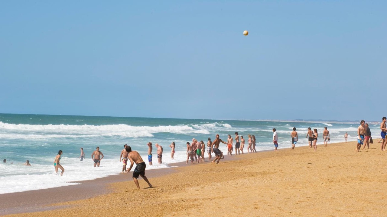 Photo of Others in Tarnos