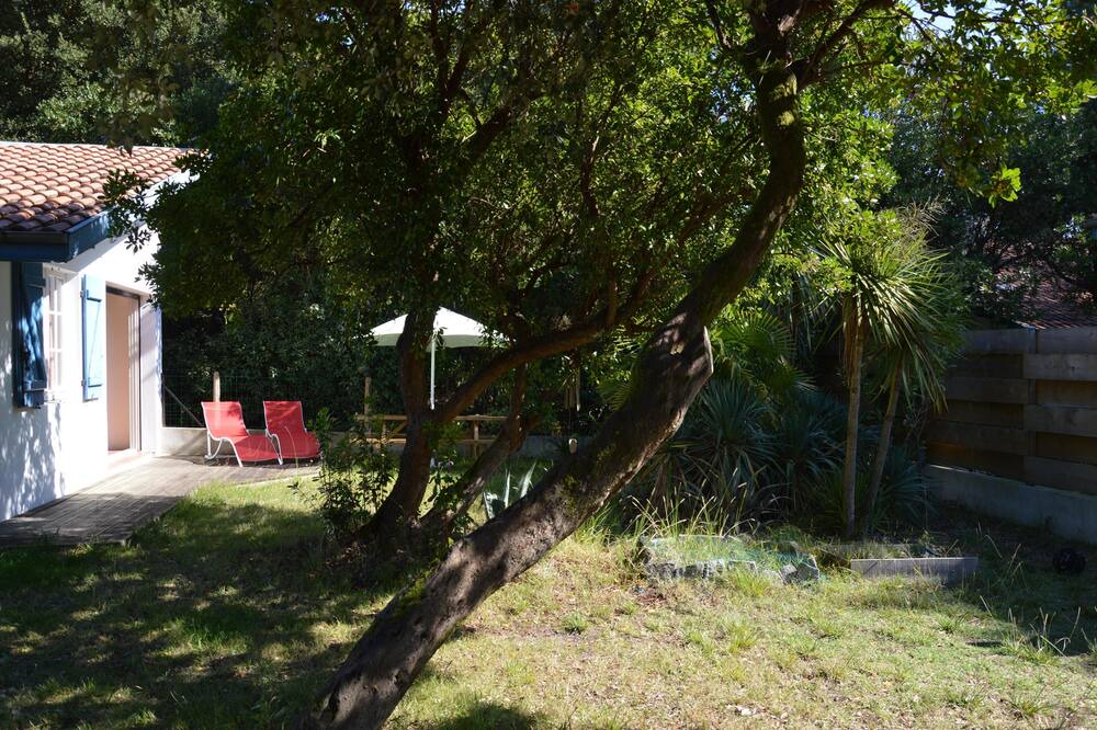 Photo of Outdoor in Labenne