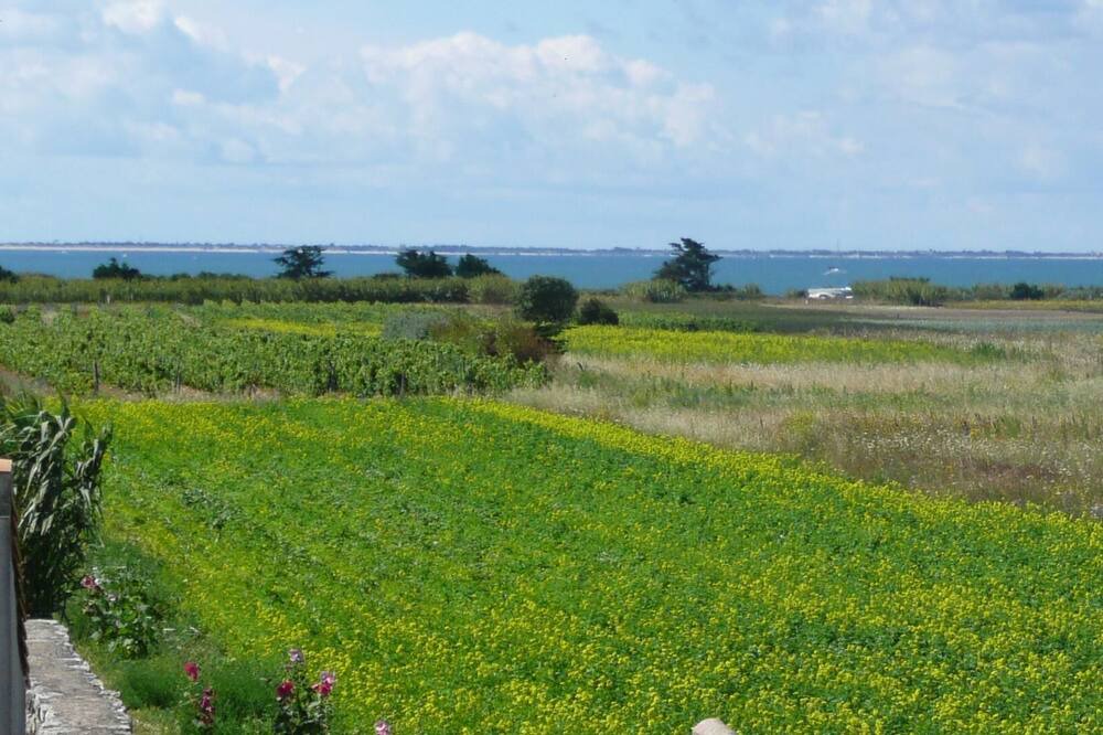 Photo of Outdoor in Sainte-Marie-de-Re