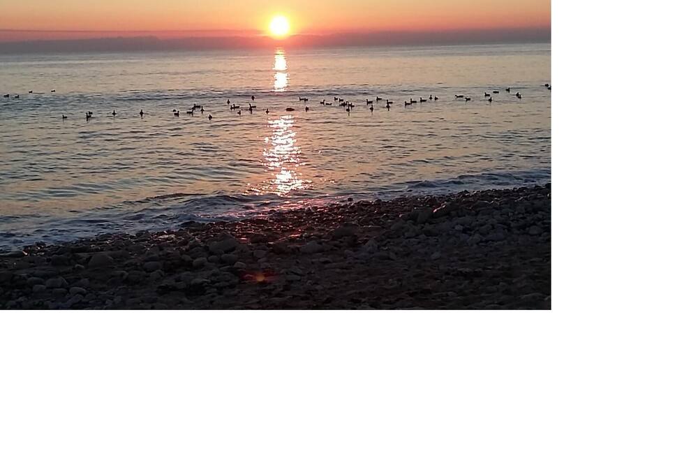 Photo of Others in Sainte-Marie-de-Re