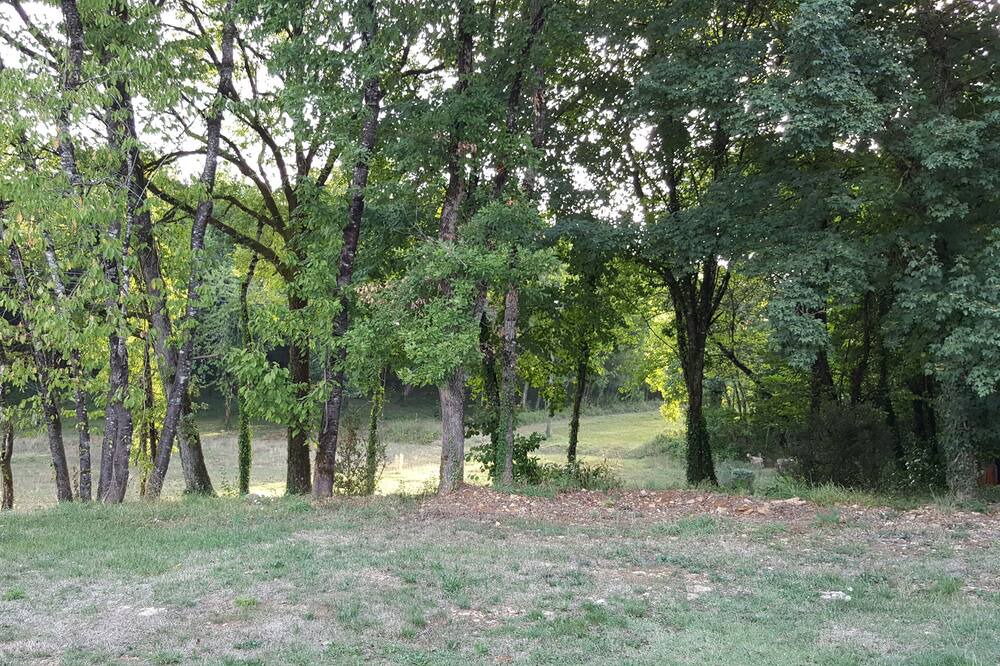 Photo of Outdoor in Saint-Genies