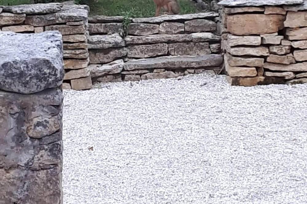 Photo of Outdoor in Saint-Genies