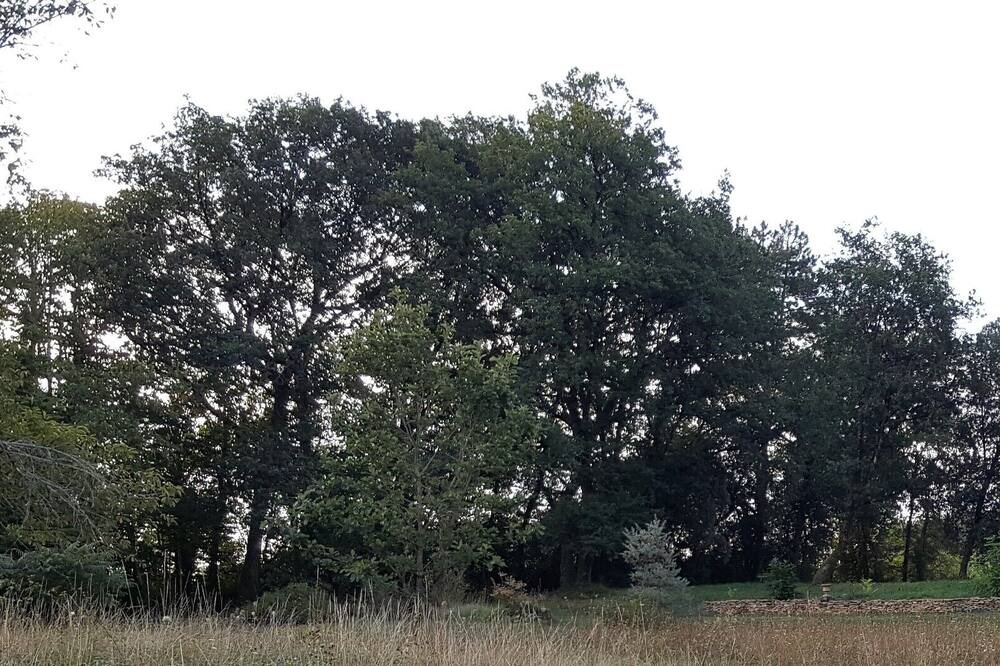 Photo of Outdoor in Saint-Genies