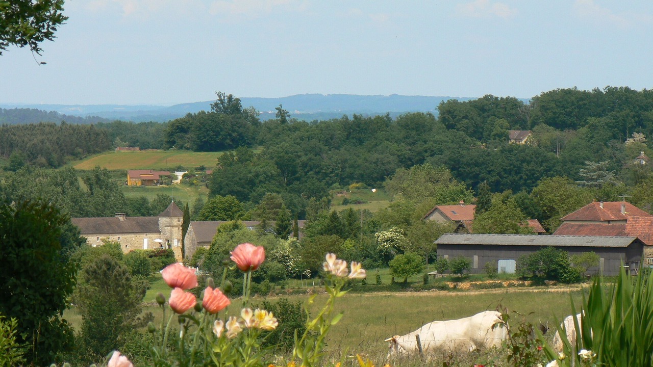 Photo of Outdoor in Saint-Aubin-de-Nabirat
